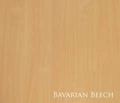 Bavarian_Beech